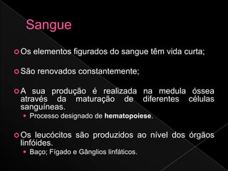  Os   elementos figurados do sangue têm vida curta;

 São   renovados constantemente;

A  sua produção é realizada na medula óssea
 através da maturação de diferentes células
 sanguíneas.
   Processo designado de hematopoiese.

 Os  leucócitos são produzidos ao nível dos órgãos
 linfóides.
   Baço; Fígado e Gânglios linfáticos.
 