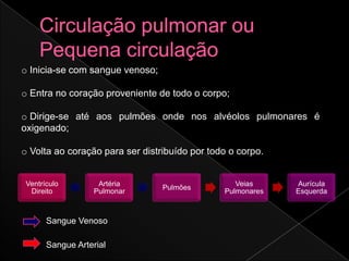 o Inicia-se com sangue venoso;

o Entra no coração proveniente de todo o corpo;

o Dirige-se até aos pulmões onde nos alvéolos pulmonares é
oxigenado;

o Volta ao coração para ser distribuído por todo o corpo.


 Ventrículo         Artéria                       Veias     Aurícula
                                 Pulmões
  Direito          Pulmonar                    Pulmonares   Esquerda



       Sangue Venoso

       Sangue Arterial
 