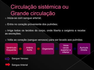 o Inicia-se com sangue arterial;

o Entra no coração proveniente dos pulmões;

o Irriga todos os tecidos do corpo, onde liberta o oxigénio e recebe
as excreções;

o Volta ao coração (sangue venosos) para ser levado aos pulmões

                                                 Veias
 Ventrículo        Artéria                       cavas         Aurícula
                                   Organismo
 Esquerda          Aorta                       superior e       Direita
                                                inferior

      Sangue Venoso

      Sangue Arterial
 