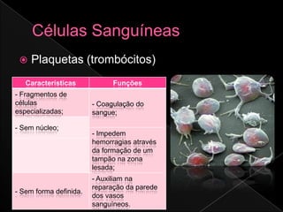    Plaquetas (trombócitos)
   Características            Funções
- Fragmentos de
células                 - Coagulação do
especializadas;         sangue;

- Sem núcleo;
                        - Impedem
                        hemorragias através
                        da formação de um
                        tampão na zona
                        lesada;
                        - Auxiliam na
                        reparação da parede
- Sem forma definida.
                        dos vasos
                        sanguíneos.
 