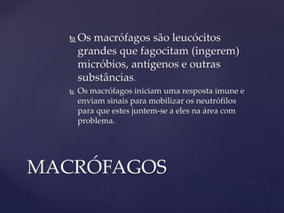  Os macrófagos são leucócitos
grandes que fagocitam (ingerem)
micróbios, antígenos e outras
substâncias.
 Os macrófagos iniciam uma resposta imune e
enviam sinais para mobilizar os neutrófilos
para que estes juntem-se a eles na área com
problema.
MACRÓFAGOS
 