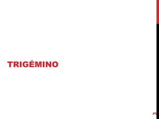 TRIGÉMINO
3
 
