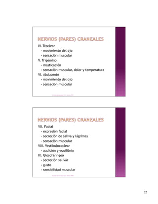 IV. Troclear
  - movimiento del ojo
  - sensación muscular
V. Trigémino
  - masticación
  - sensación muscular, dolor y temperatura
VI. Abducente
  - movimiento del ojo
  - sensación muscular


         Derechos Reservados Dr. E. Alonso 2008




VII. Facial
  - expresión facial
  - secreción de saliva y lágrimas
  - sensación muscular
VIII. Vestíbulococlear
  - audición y equilibrio
IX. Glosofaríngeo
  - secreción salivar
  - gusto
  - sensibilidad muscular
         Derechos Reservados Dr. E. Alonso 2008




                                                   22
 