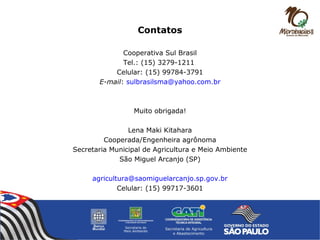 Contatos
Cooperativa Sul Brasil
Tel.: (15) 3279-1211
Celular: (15) 99784-3791
E-mail: sulbrasilsma@yahoo.com.br
Muito obrigada!
Lena Maki Kitahara
Cooperada/Engenheira agrônoma
Secretaria Municipal de Agricultura e Meio Ambiente
São Miguel Arcanjo (SP)
agricultura@saomiguelarcanjo.sp.gov.br
Celular: (15) 99717-3601
 