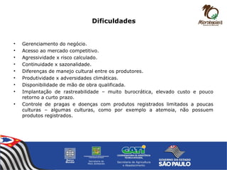 Dificuldades
• Gerenciamento do negócio.
• Acesso ao mercado competitivo.
• Agressividade x risco calculado.
• Continuidade x sazonalidade.
• Diferenças de manejo cultural entre os produtores.
• Produtividade x adversidades climáticas.
• Disponibilidade de mão de obra qualificada.
• Implantação de rastreabilidade – muito burocrática, elevado custo e pouco
retorno a curto prazo.
• Controle de pragas e doenças com produtos registrados limitados a poucas
culturas – algumas culturas, como por exemplo a atemoia, não possuem
produtos registrados.
 