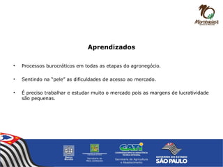 Aprendizados
• Processos burocráticos em todas as etapas do agronegócio.
• Sentindo na “pele” as dificuldades de acesso ao mercado.
• É preciso trabalhar e estudar muito o mercado pois as margens de lucratividade
são pequenas.
 