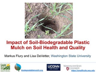Impact of Soil-Biodegradable Plastic
Mulch on Soil Health and Quality
https://smallfruits.wsu.edu
biodegradablemulch.org
Markus Flury and Lisa DeVetter, Washington State University
 