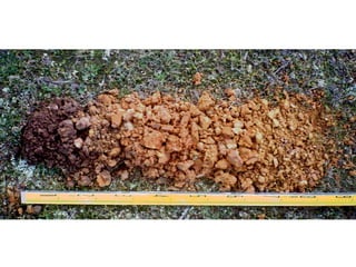 8 soils