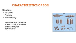 Earth Science Grade 11 SHS Soils and Soil Development | PPT