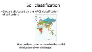 Earth Science Grade 11 SHS Soils and Soil Development | PPT