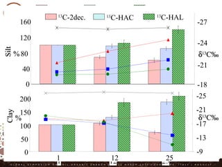 0
20
40
60
80
100
-17
-20
-23
-26
δδ1313
C‰C‰
%%
-18
-22
-26
δδ1313
C‰C‰
CoarsesandCoarsesandFinesandFinesand
%%
13
C-2dec. 13
C-HAC 13
C-HAL
0
40
80
120
160
%%
SiltSilt
-18
-21
-24
-27
δδ1313
C‰C‰
0
50
100
150
200
1 12 25
%%
ClayClay
-9
-13
-17
-21
-25
13
C-2dec. 13
C-HAC 13
C-HAL
δδ1313
C‰C‰
 