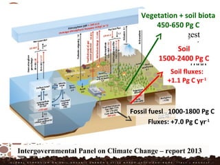 The soil organic carbon (SOC) represent the largest
reservoir in the global carbon cycle of terrestrial biosphere
pools, accounting for 1500-1770 Pg, as compared to C
stocks of vegetation (450-650 Pg) and fossil fuels (1000-
1940 Pg (IPCC)
Intergovernmental Panel on Climate Change – report 2013
Vegetation + soil biota
450-650 Pg C
Soil
1500-2400 Pg C
Fluxes: +7.0 Pg C yr-1
Soil fluxes:
+1.1 Pg C yr-1
Fossil fuesl 1000-1800 Pg C
 