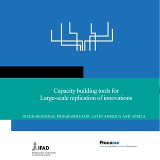 Capacity building tools for
Large-scale replication of innovations
INTER-REGIONAL PROGRAMME FOR LATIN AMERICA AND AFRICA
 
