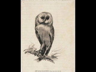 1887 Lechuza vista de frente. Dibujo a lápiz pluma, tinta azul
 