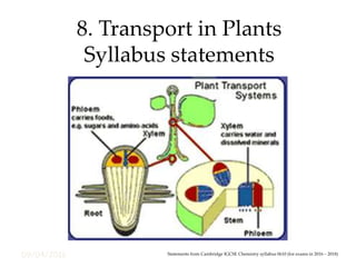 09/04/2016
8. Transport in Plants
Syllabus statements
Statements from Cambridge IGCSE Chemistry syllabus 0610 (for exams in 2016 – 2018)
 