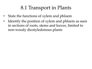 8.1 Transport in Plants
• State the functions of xylem and phloem
• Identify the position of xylem and phloem as seen
in sections of roots, stems and leaves, limited to
non-woody dicotyledonous plants
 