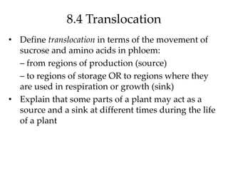 8.4 Translocation
• Define translocation in terms of the movement of
sucrose and amino acids in phloem:
– from regions of production (source)
– to regions of storage OR to regions where they
are used in respiration or growth (sink)
• Explain that some parts of a plant may act as a
source and a sink at different times during the life
of a plant
 