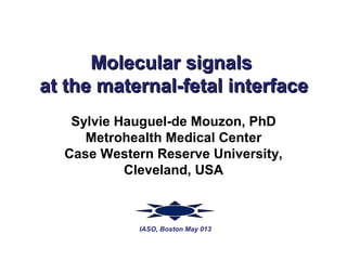 Molecular signalsMolecular signals
at the maternal-fetal interfaceat the maternal-fetal interface
Sylvie Hauguel-de Mouzon, PhD
Metrohealth Medical Center
Case Western Reserve University,
Cleveland, USA
IASO, Boston May 013
 