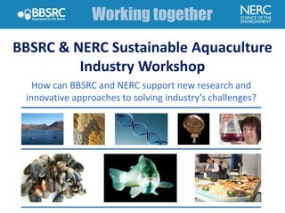BBSRC & NERC Sustainable Aquaculture
Industry Workshop
Chair: Anton Edwards
Excellent Products
Excellent Science
How can BBSRC and NERC support new research and
innovative approaches to solving industry’s challenges?
 