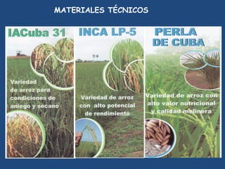 MATERIALES TÉCNICOS
 