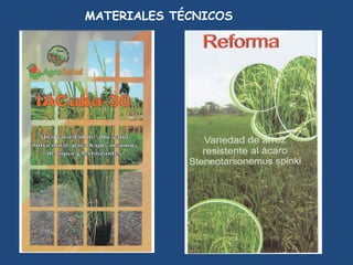 MATERIALES TÉCNICOS
 