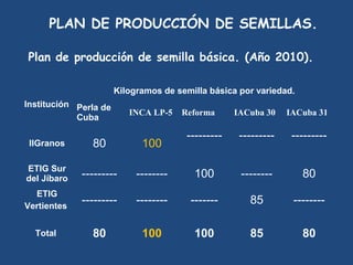 PLAN DE PRODUCCIÓN DE SEMILLAS.

Plan de producción de semilla básica. (Año 2010).

                       Kilogramos de semilla básica por variedad.
Institución Perla de
                          INCA LP-5  Reforma       IACuba 30  IACuba 31 
            Cuba 

                                       ---------    ---------   ---------
 IIGranos      80            100

ETIG Sur
del Jíbaro   ---------      --------     100        --------        80
  ETIG
Vertientes
             ---------      --------    -------       85        --------

  Total        80            100         100          85            80
 