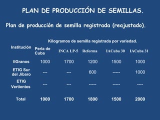 PLAN DE PRODUCCIÓN DE SEMILLAS.

Plan de producción de semilla registrada (reajustado).

                       Kilogramos de semilla registrada por variedad.
 Institución Perla de
                            INCA LP-5  Reforma      IACuba 30  IACuba 31 
             Cuba 

  IIGranos     1000            1700        1200        1500         1000
  ETIG Sur
  del Jíbaro
                 ---            ---         600         -----       1000

   ETIG
                 ---            ---         -----       -----           ----
 Vertientes


    Total      1000            1700        1800        1500         2000
 