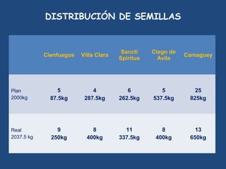 DISTRIBUCIÓN DE SEMILLAS


                                        Sancti    Ciego de
            Cienfuegos   Villa Clara                         Camaguey
                                       Spiritus     Avila




Plan             5           4            6          5          25
2000kg        87.5kg      287.5kg      262.5kg    537.5kg     825kg




Real            9            8           11          8          13
2037.5 kg     250kg        400kg       337.5kg     400kg      650kg
 