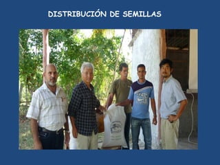 DISTRIBUCIÓN DE SEMILLAS
 