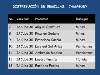 DISTRIBUCIÓN DE SEMILLAS. CAMAGUEY


No    Variedad   Productor           Municipio

7     IACuba 30 Miguel González      Minas
8     IACuba 30 Ricardo Sedano       Minas
9     IACuba 30 Francisco García     Minas
10    IACuba 30 Luis del Sol Arias   Vertientes
11    IACuba 30 Ambrosio Medina      Vertientes
12    IACuba 30 Lázaro Puerta        Florida
13    IACuba 30 Euclides Febles      Minas
 