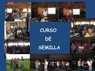CURSO
  DE
SEMILLA
 