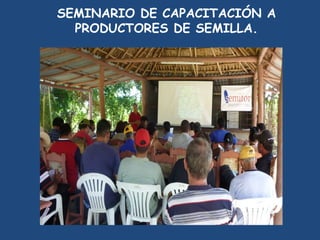 SEMINARIO DE CAPACITACIÓN A
  PRODUCTORES DE SEMILLA.
 