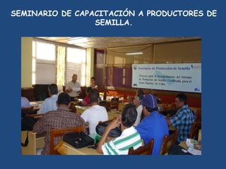 SEMINARIO DE CAPACITACIÓN A PRODUCTORES DE
                 SEMILLA.
 