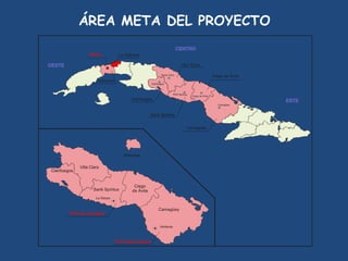 SEMIFOR:UN PROYECTO PARA EL FORTALECIMIENTO DEL SISTEMA DE PRODUCCIÓN DE SEMILLAS CERTIFICADAS PARA EL ARROZ POPULAR EN CUBA”