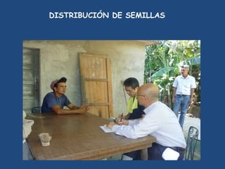 SEMIFOR:UN PROYECTO PARA EL FORTALECIMIENTO DEL SISTEMA DE PRODUCCIÓN DE SEMILLAS CERTIFICADAS PARA EL ARROZ POPULAR EN CUBA”