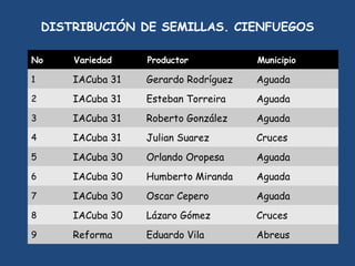 SEMIFOR:UN PROYECTO PARA EL FORTALECIMIENTO DEL SISTEMA DE PRODUCCIÓN DE SEMILLAS CERTIFICADAS PARA EL ARROZ POPULAR EN CUBA”