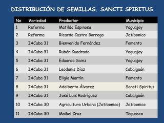 SEMIFOR:UN PROYECTO PARA EL FORTALECIMIENTO DEL SISTEMA DE PRODUCCIÓN DE SEMILLAS CERTIFICADAS PARA EL ARROZ POPULAR EN CUBA”