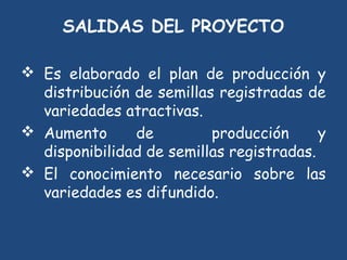 SEMIFOR:UN PROYECTO PARA EL FORTALECIMIENTO DEL SISTEMA DE PRODUCCIÓN DE SEMILLAS CERTIFICADAS PARA EL ARROZ POPULAR EN CUBA”