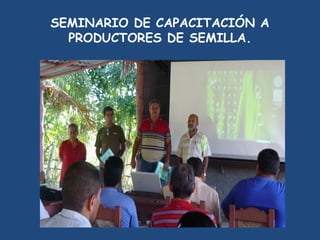 SEMIFOR:UN PROYECTO PARA EL FORTALECIMIENTO DEL SISTEMA DE PRODUCCIÓN DE SEMILLAS CERTIFICADAS PARA EL ARROZ POPULAR EN CUBA”