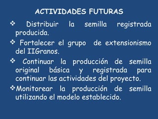 SEMIFOR:UN PROYECTO PARA EL FORTALECIMIENTO DEL SISTEMA DE PRODUCCIÓN DE SEMILLAS CERTIFICADAS PARA EL ARROZ POPULAR EN CUBA”
