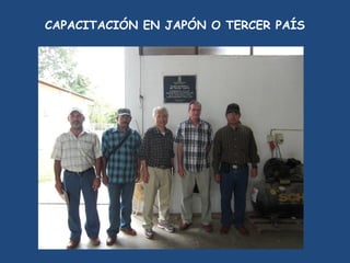 SEMIFOR:UN PROYECTO PARA EL FORTALECIMIENTO DEL SISTEMA DE PRODUCCIÓN DE SEMILLAS CERTIFICADAS PARA EL ARROZ POPULAR EN CUBA”