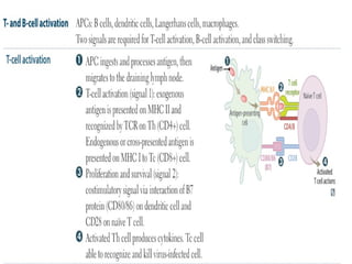 Activation of 8 T and B cell activation.pptx