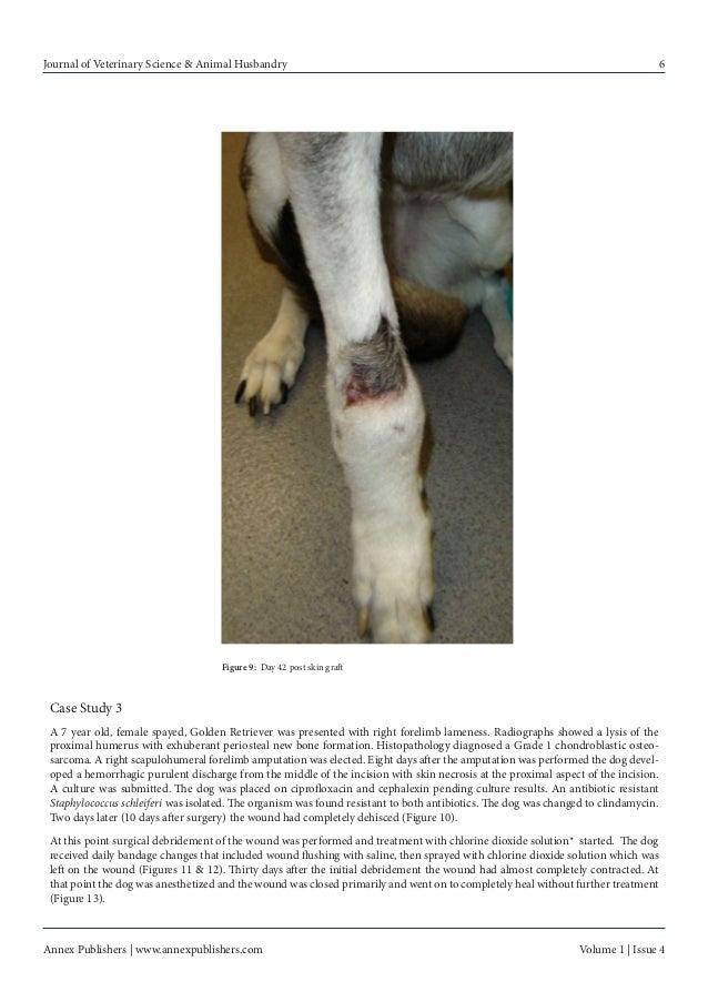 Surgical woundmanagementindogsusinganimprovedstablechlorined…