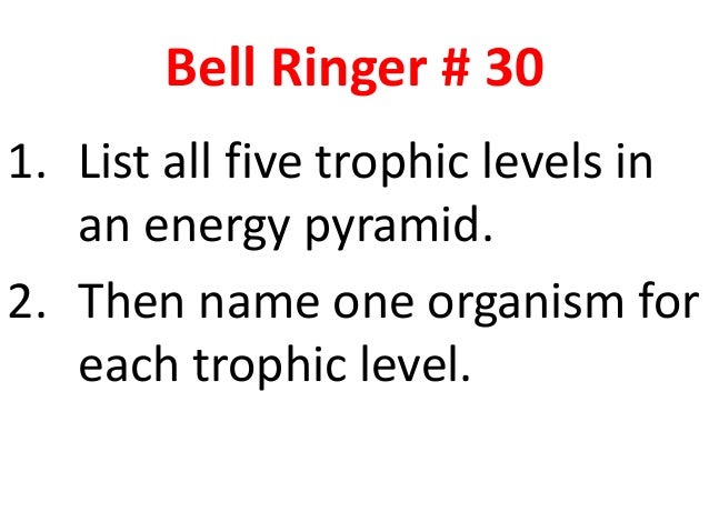 8th Grade Science Review