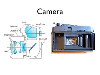 8th Chapter 4, Lesson 1