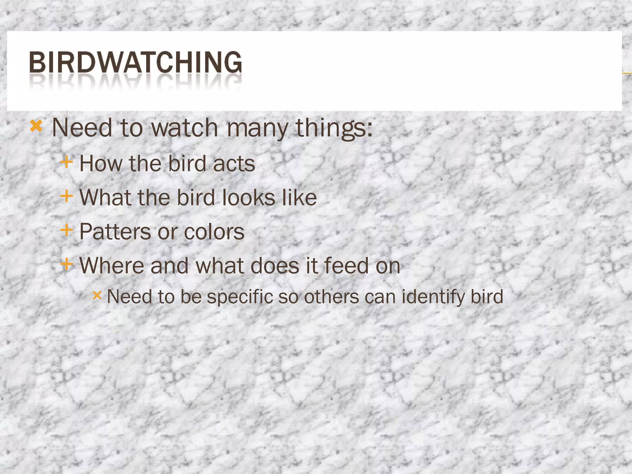 Need to watch many things: How the bird acts What the bird looks like Patters or colors Where and what does it feed on Need to be specific so others can identify bird 