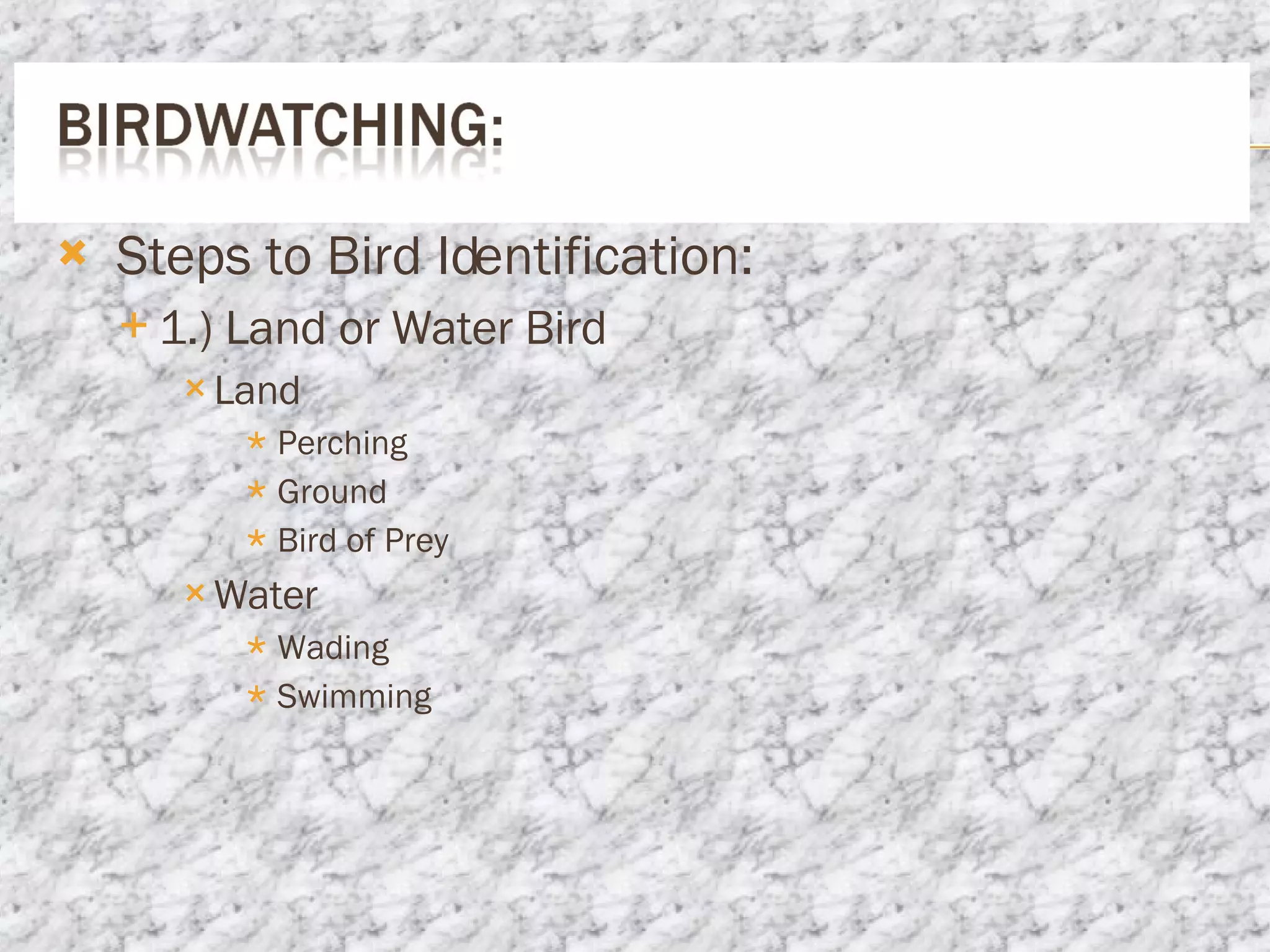 Steps to Bird Identification: 1.) Land or Water Bird Land Perching Ground Bird of Prey Water Wading Swimming 