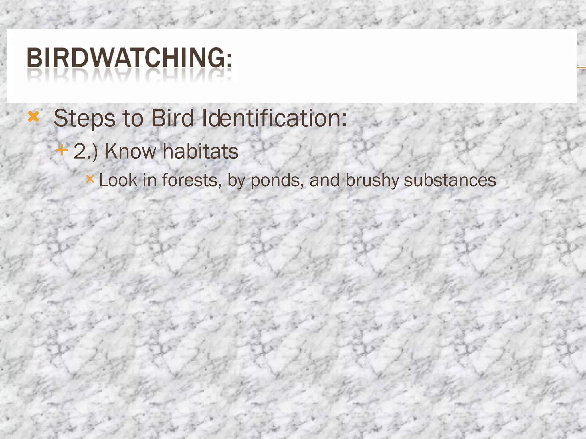 Steps to Bird Identification: 2.) Know habitats Look in forests, by ponds, and brushy substances 