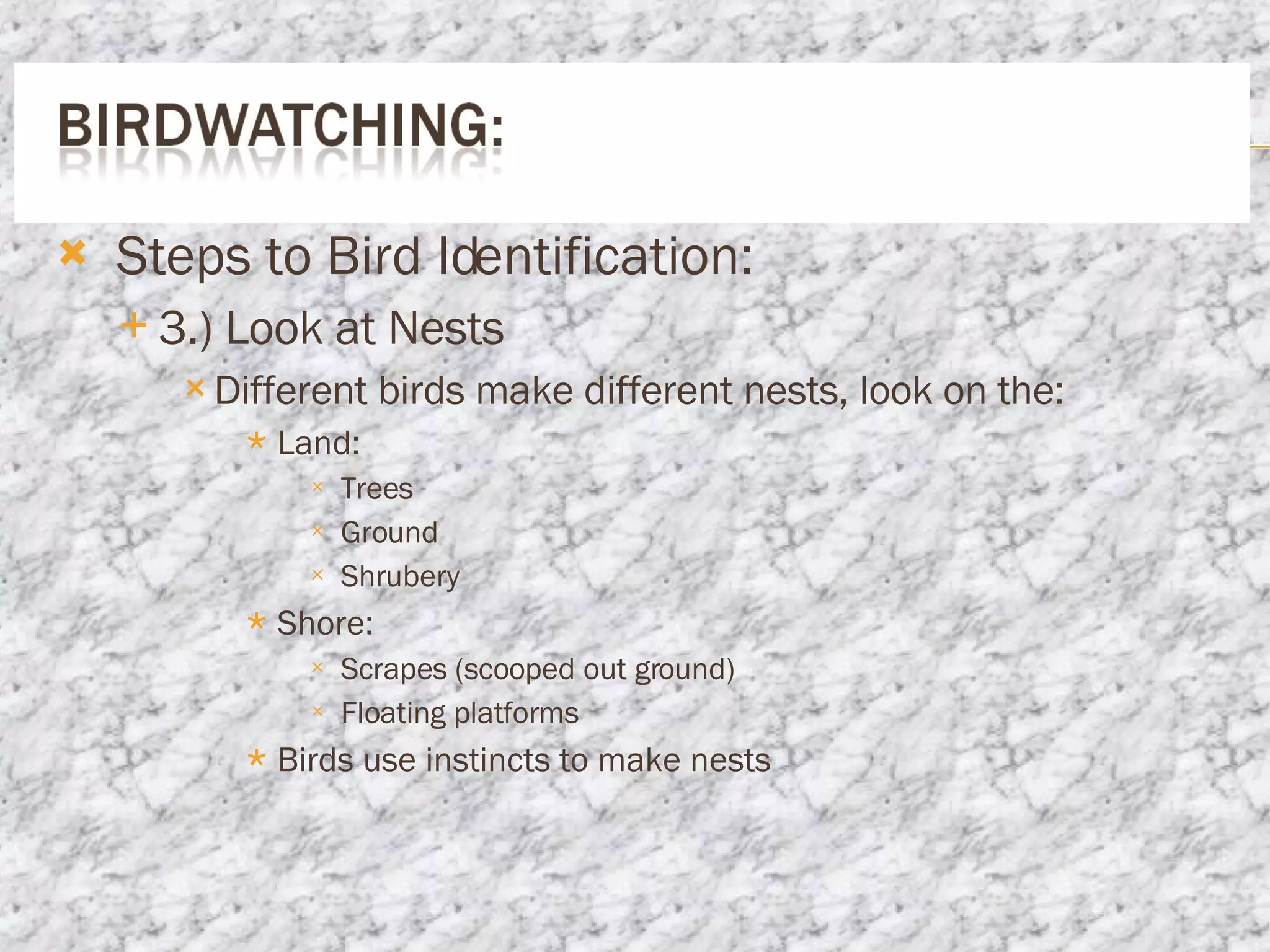 Steps to Bird Identification: 3.) Look at Nests Different birds make different nests, look on the: Land: Trees Ground Shrubery Shore: Scrapes (scooped out ground) Floating platforms Birds use instincts to make nests 
