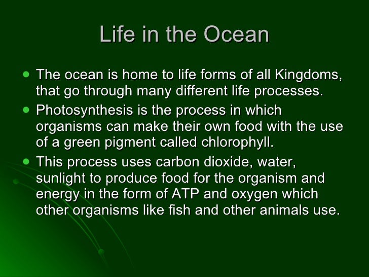 Organism That Uses Photosynthesis To Make Food Organism That Uses Photosynthesis To Make Food